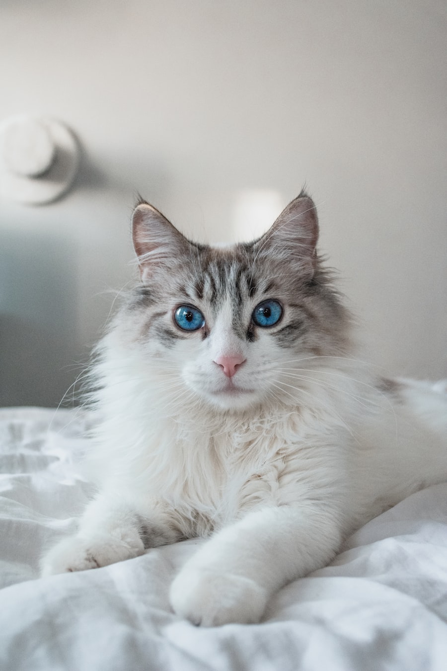 Willow — Luna's mum